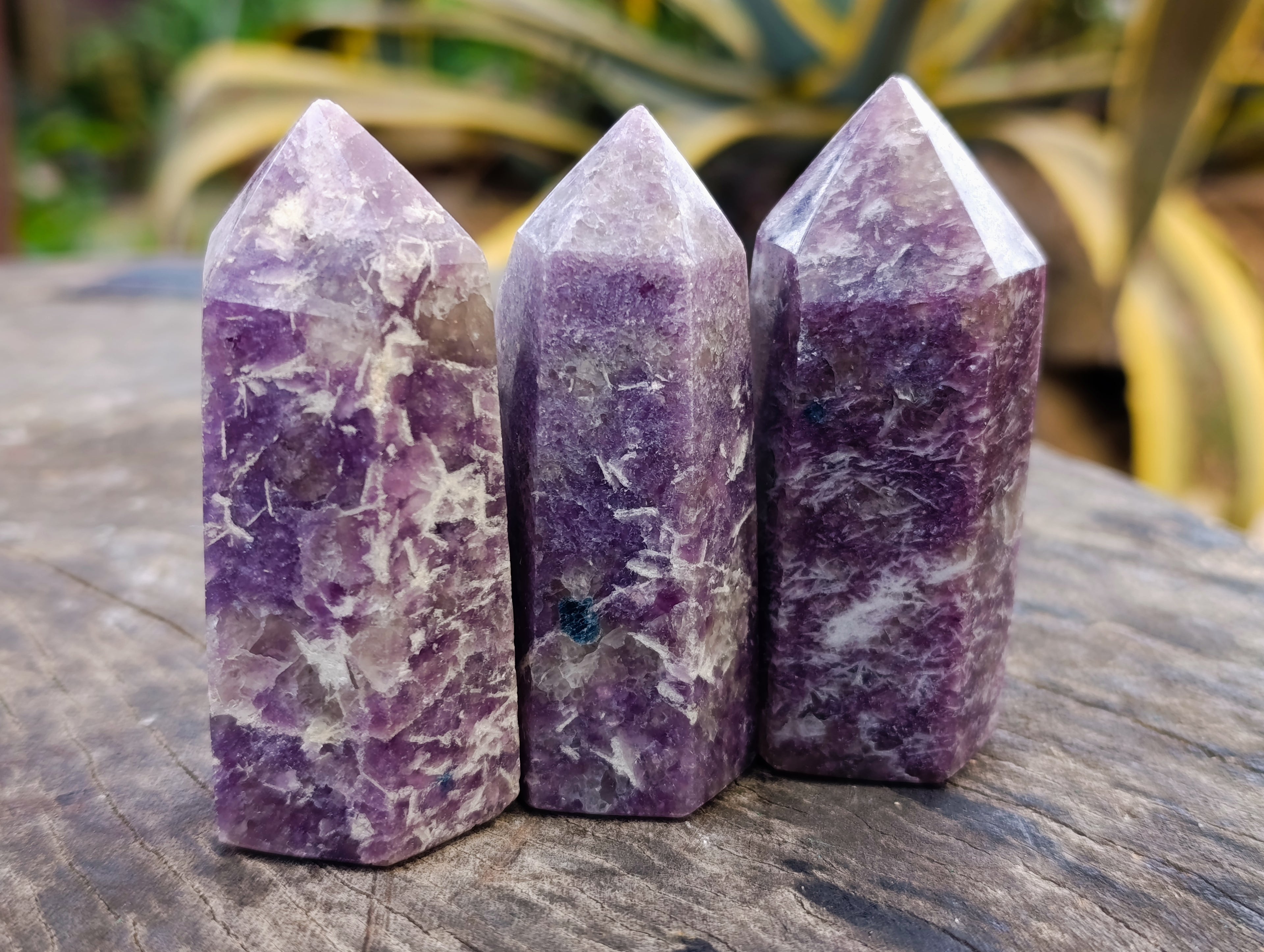 Polished Lepidolite with Pink Rubellite Points x 12 From Ambatondrazaka, Madagascar - Toprock Gemstones and Minerals 