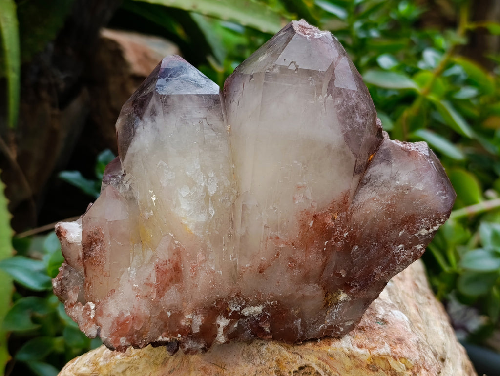 Natural Red Hematoid Quartz Clusters x 4 From Karoi, Zimbabwe - Toprock Gemstones and Minerals 