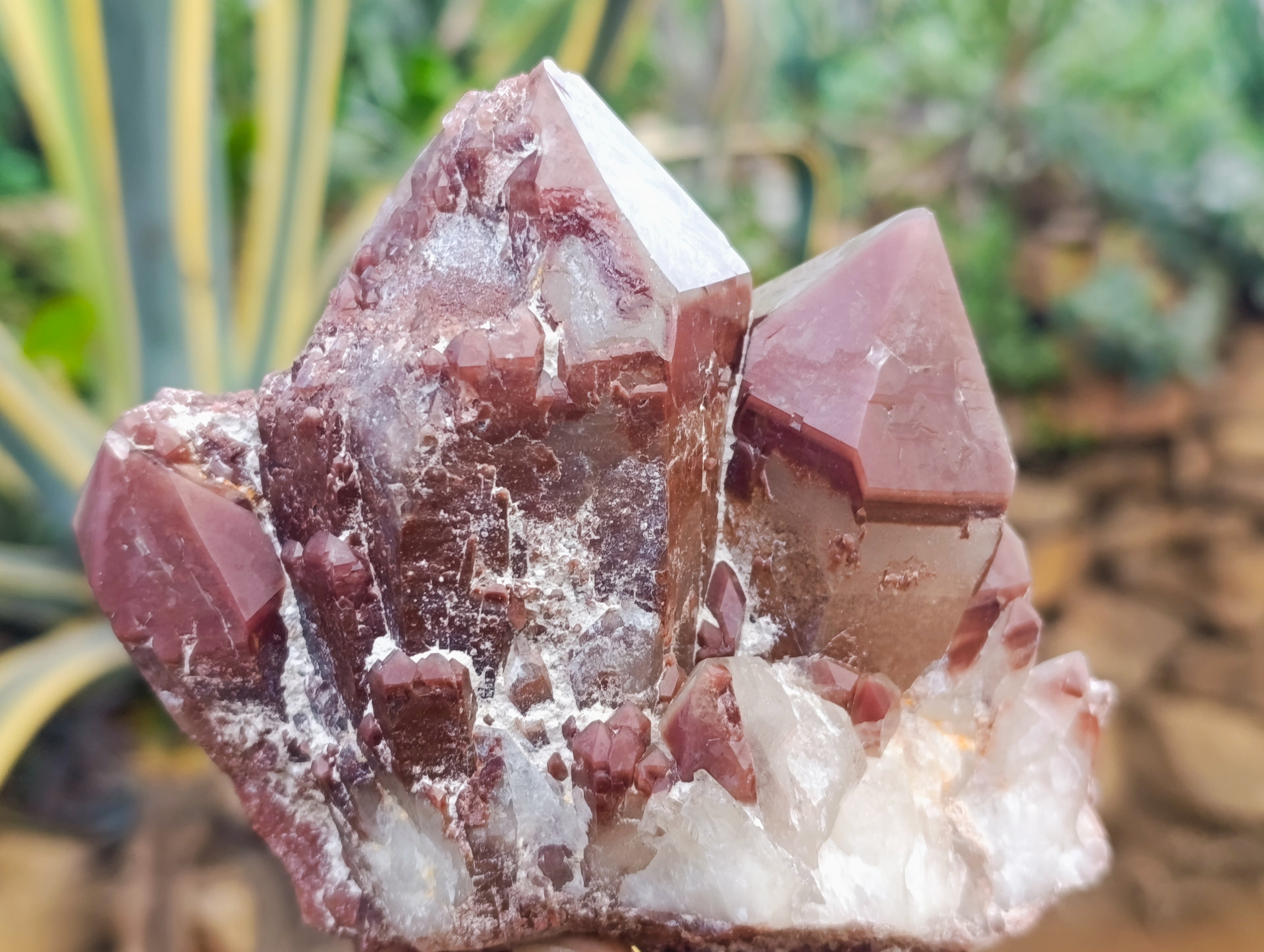 Natural Red Hematoid Quartz Clusters x 4 From Karoi, Zimbabwe - Toprock Gemstones and Minerals 