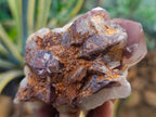 Natural Red Hematoid Quartz Clusters x 4 From Karoi, Zimbabwe - Toprock Gemstones and Minerals 