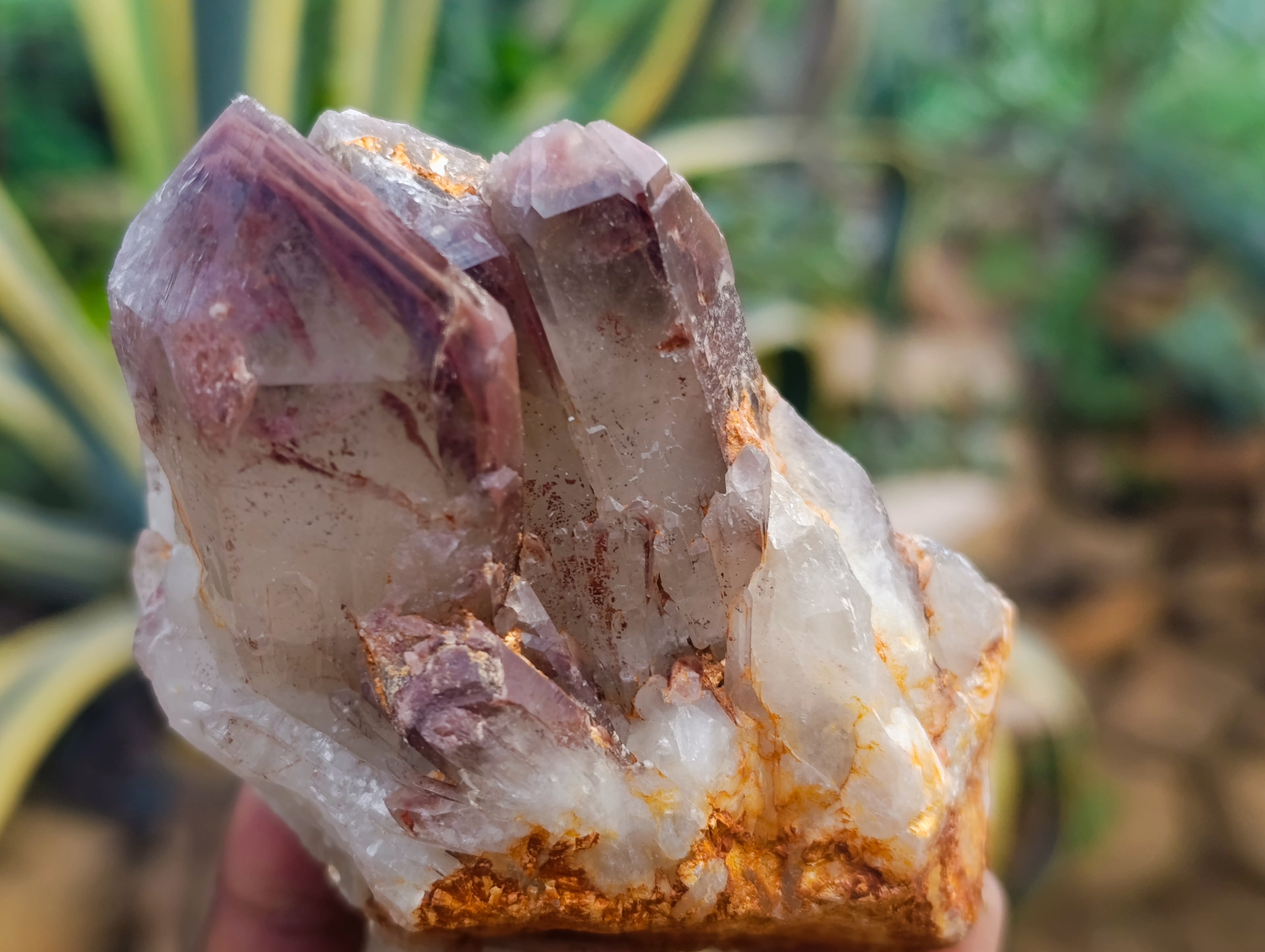 Natural Red Hematoid Quartz Clusters x 4 From Karoi, Zimbabwe - Toprock Gemstones and Minerals 