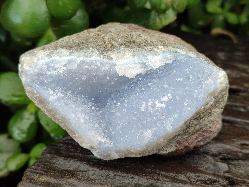 Natural Blue Lace Agate Geode Specimens x 12 From Nsanje, Malawi - Toprock Gemstones and Minerals 
