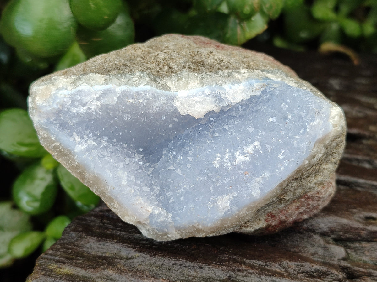 Natural Blue Lace Agate Geode Specimens x 12 From Nsanje, Malawi - Toprock Gemstones and Minerals 