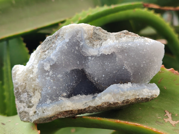 Natural Blue Lace Agate Geode Specimens x 12 From Nsanje, Malawi