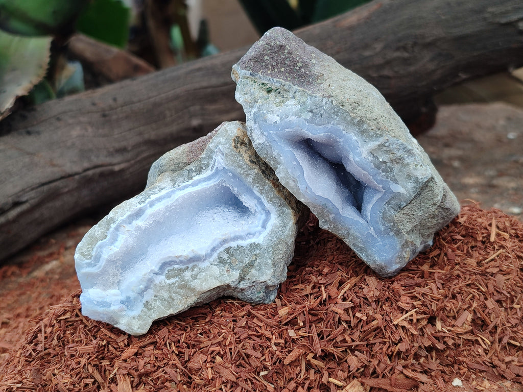 Natural Blue Lace Agate Geode Specimens x 12 From Nsanje, Malawi - Toprock Gemstones and Minerals 