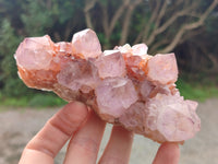 Natural Ametrine Spirit Quartz Clusters x 5 From Boekenhouthoek, South Africa
