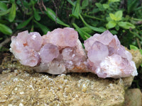 Natural Ametrine Spirit Quartz Clusters x 5 From Boekenhouthoek, South Africa