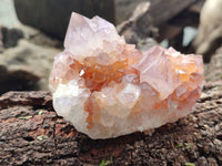Natural Ametrine Spirit Quartz Clusters x 5 From Boekenhouthoek, South Africa