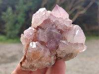 Natural Ametrine Spirit Quartz Clusters x 5 From Boekenhouthoek, South Africa