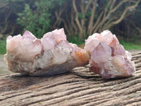 Natural Ametrine Spirit Quartz Clusters x 5 From Boekenhouthoek, South Africa