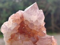 Natural Ametrine Spirit Quartz Clusters x 5 From Boekenhouthoek, South Africa