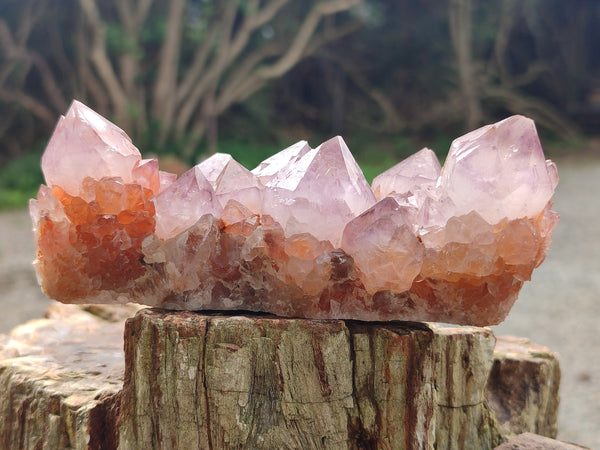 Natural Ametrine Spirit Quartz Clusters x 5 From Boekenhouthoek, South Africa