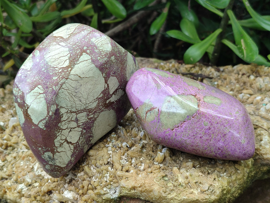 Polished Stichtite Free Forms x 2 From Barberton, South Africa - Toprock Gemstones and Minerals 