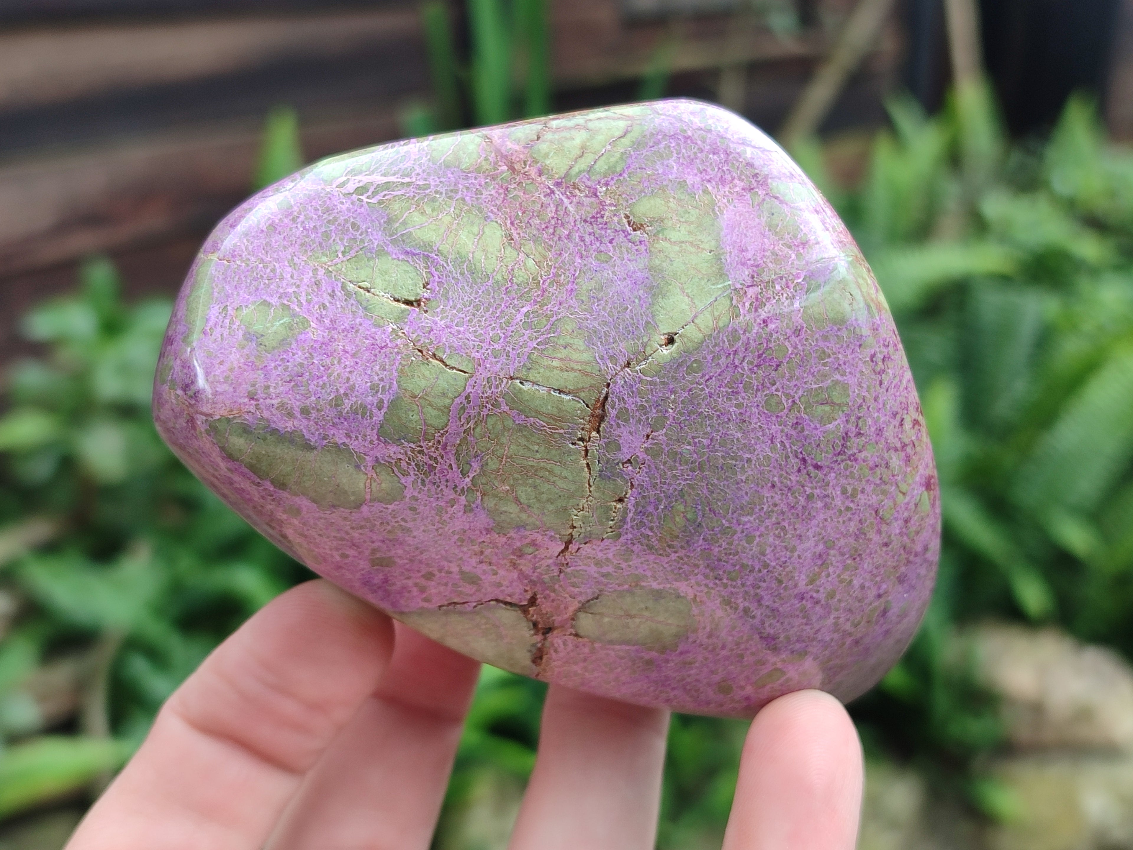 Polished Stichtite Free Forms x 2 From Barberton, South Africa - Toprock Gemstones and Minerals 