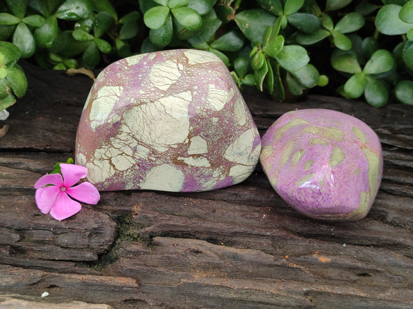 Polished Stichtite Free Forms x 2 From Barberton, South Africa - Toprock Gemstones and Minerals 