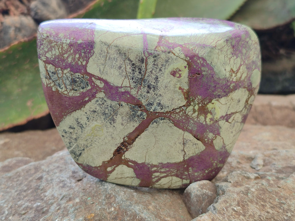 Polished Stichtite Free Forms x 2 From Barberton, South Africa - Toprock Gemstones and Minerals 