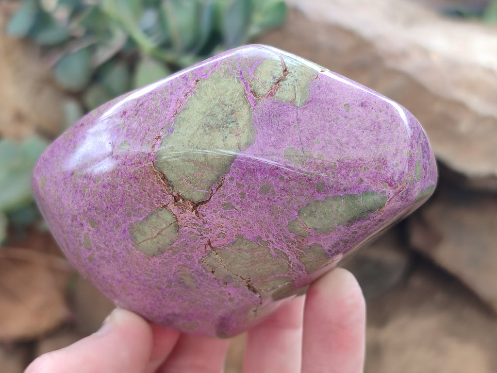 Polished Stichtite Free Forms x 2 From Barberton, South Africa - Toprock Gemstones and Minerals 
