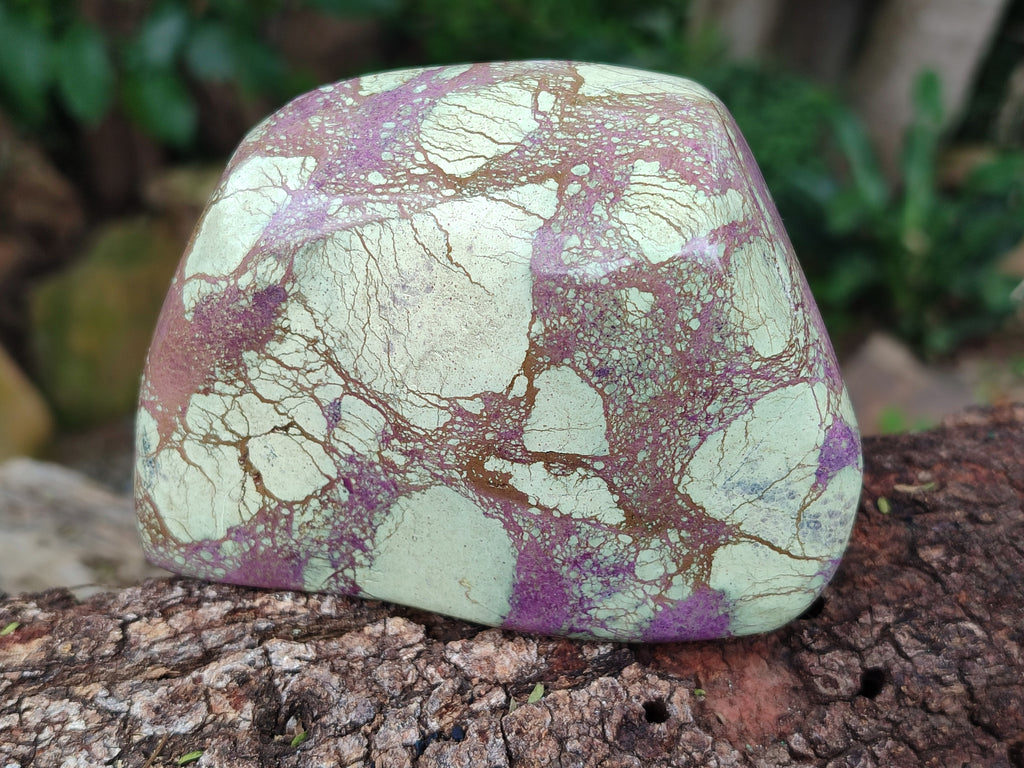 Polished Stichtite Free Forms x 2 From Barberton, South Africa - Toprock Gemstones and Minerals 