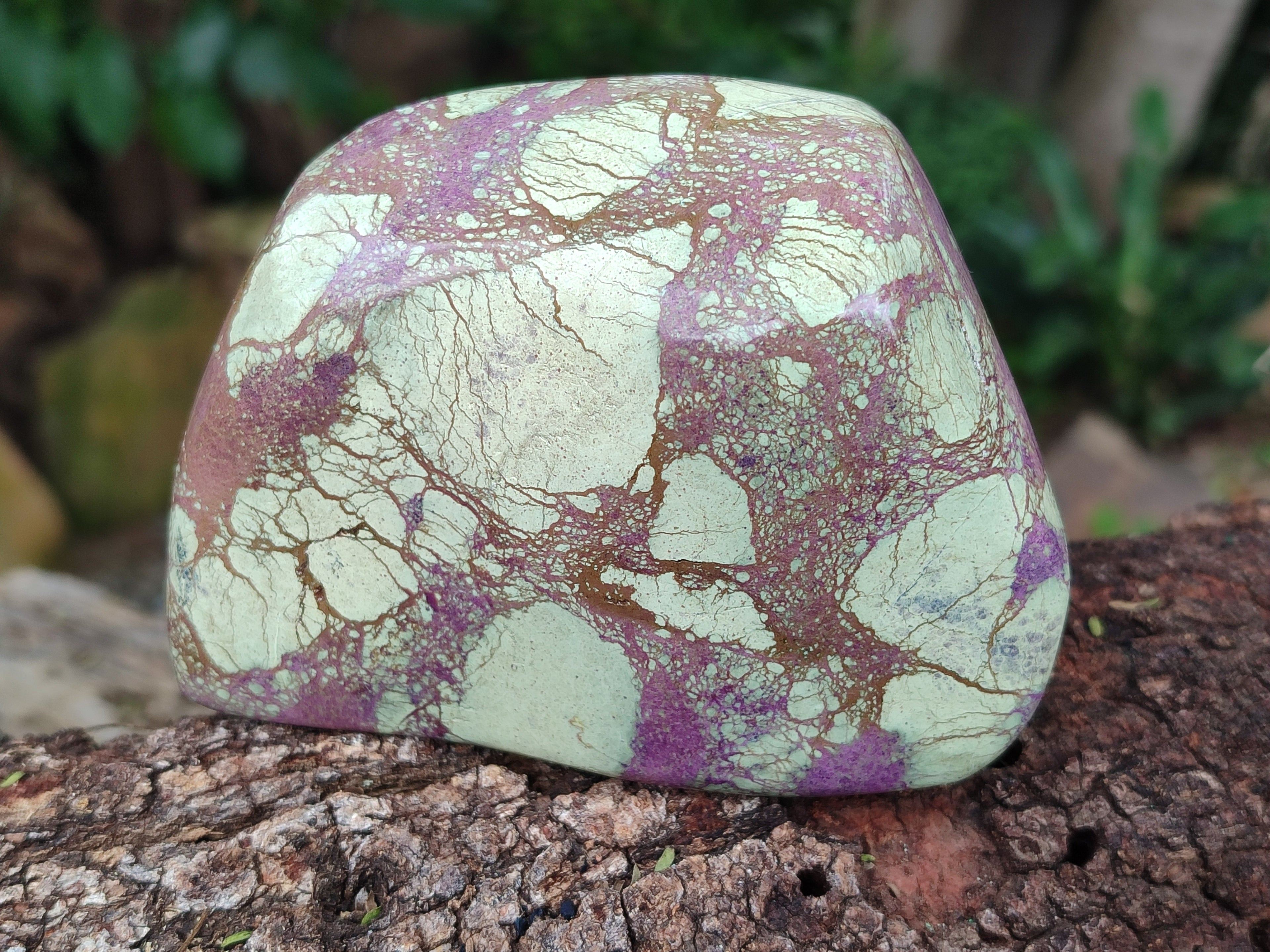 Polished Stichtite Free Forms x 2 From Barberton, South Africa - Toprock Gemstones and Minerals 