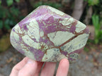 Polished Stichtite Free Forms x 2 From Barberton, South Africa - Toprock Gemstones and Minerals 