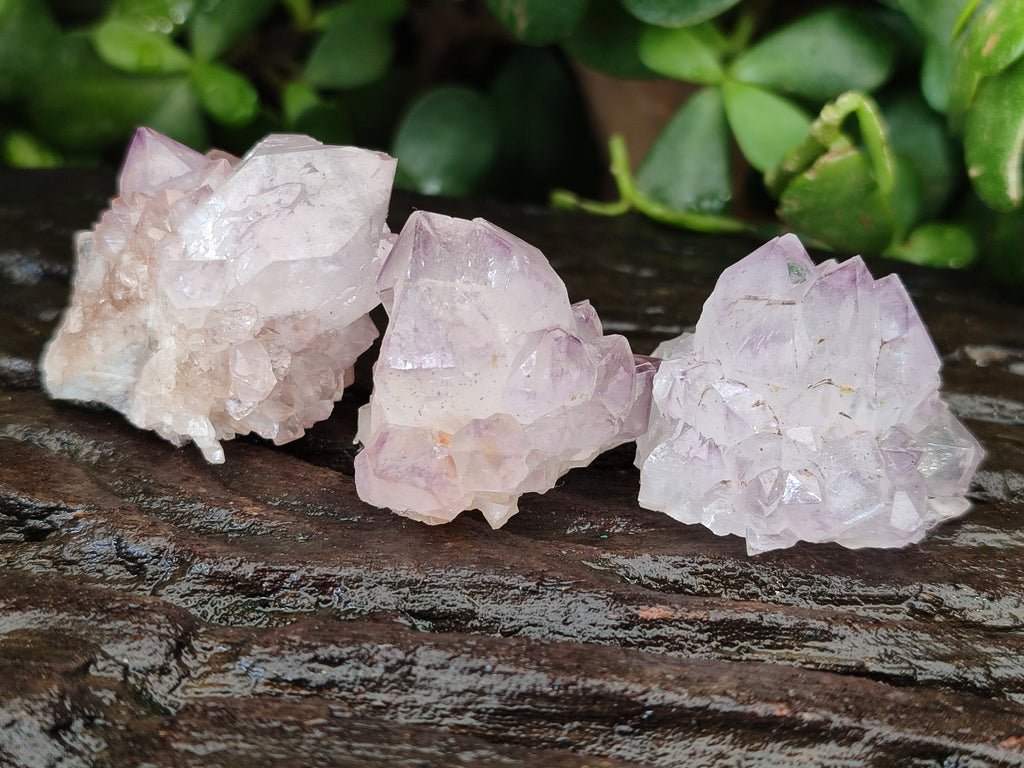Natural Dark and Lilic Amethyst Spirit Quartz Crystals x 35 From South Africa - Toprock Gemstones and Minerals 