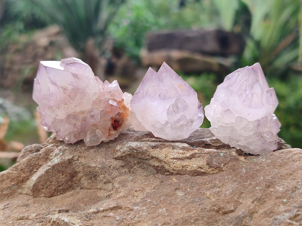 Natural Dark and Lilic Amethyst Spirit Quartz Crystals x 35 From South Africa - Toprock Gemstones and Minerals 