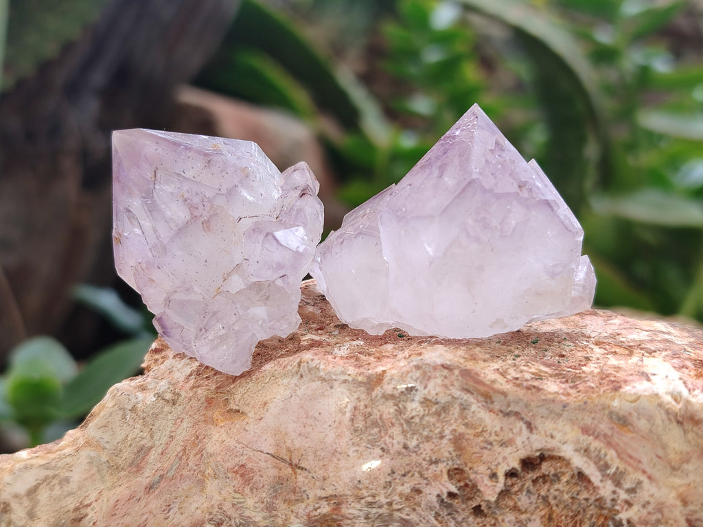 Natural Dark and Lilic Amethyst Spirit Quartz Crystals x 35 From South Africa - Toprock Gemstones and Minerals 