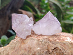 Natural Dark and Lilic Amethyst Spirit Quartz Crystals x 35 From South Africa - Toprock Gemstones and Minerals 