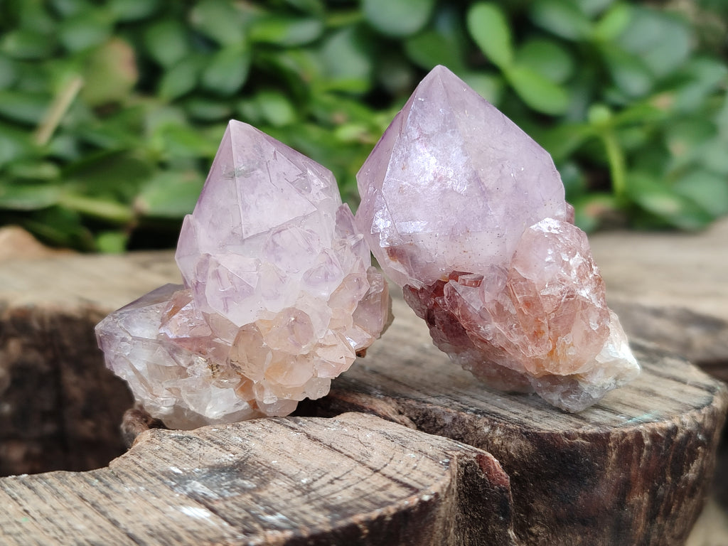 Natural Dark and Lilic Amethyst Spirit Quartz Crystals x 35 From South Africa - Toprock Gemstones and Minerals 