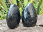 Polished Black Tourmaline Standing Free Form x 2 From Madagascar - Toprock Gemstones and Minerals 