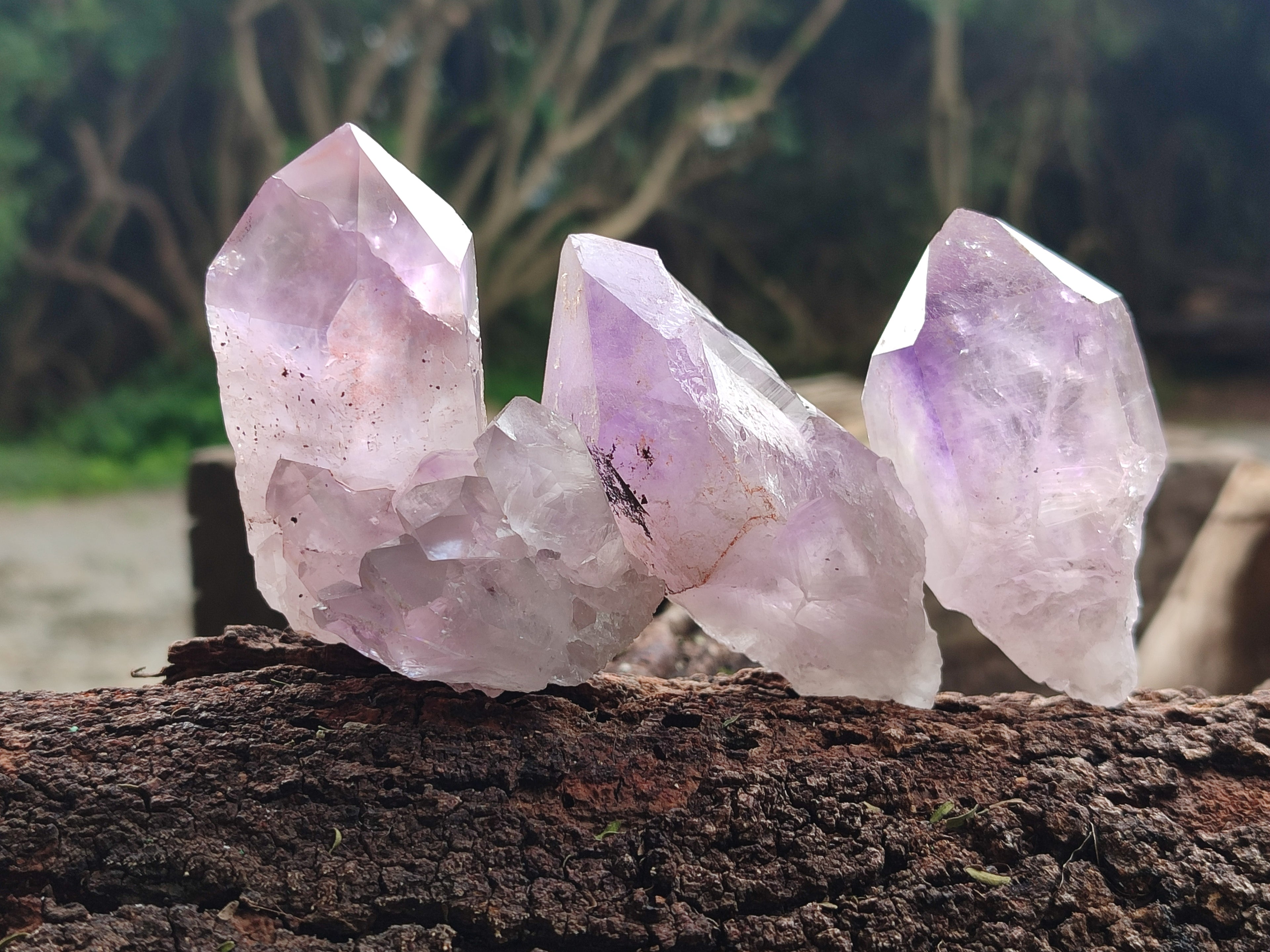 Natural Jacaranda Amethyst Single Quartz Crystals x 24 From Mumbwa, Zambia - Toprock Gemstones and Minerals 