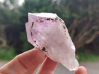 Natural Jacaranda Amethyst Single Quartz Crystals x 24 From Mumbwa, Zambia - Toprock Gemstones and Minerals 