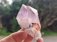 Natural Jacaranda Amethyst Single Quartz Crystals x 24 From Mumbwa, Zambia