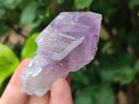 Natural Jacaranda Amethyst Single Quartz Crystals x 24 From Mumbwa, Zambia