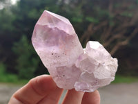 Natural Jacaranda Amethyst Single Quartz Crystals x 24 From Mumbwa, Zambia