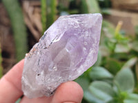 Natural Jacaranda Amethyst Single Quartz Crystals x 24 From Mumbwa, Zambia