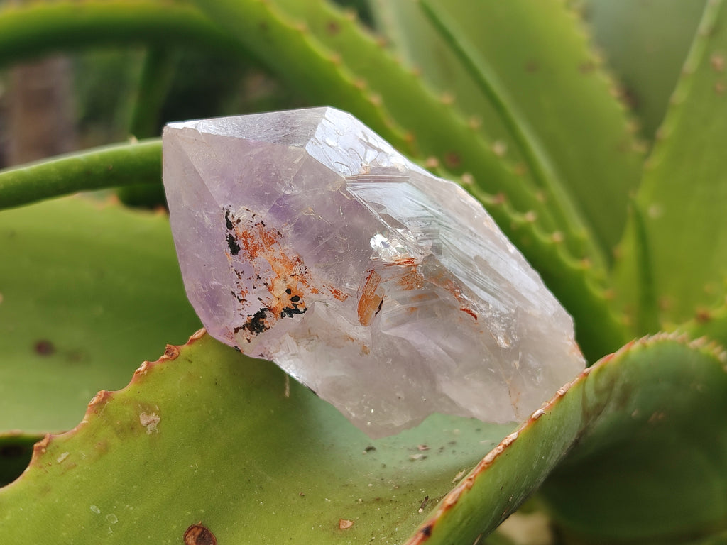 Natural Jacaranda Amethyst Single Quartz Crystals x 24 From Mumbwa, Zambia - Toprock Gemstones and Minerals 
