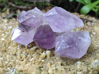 Natural Jacaranda Amethyst Single Quartz Crystals x 24 From Mumbwa, Zambia