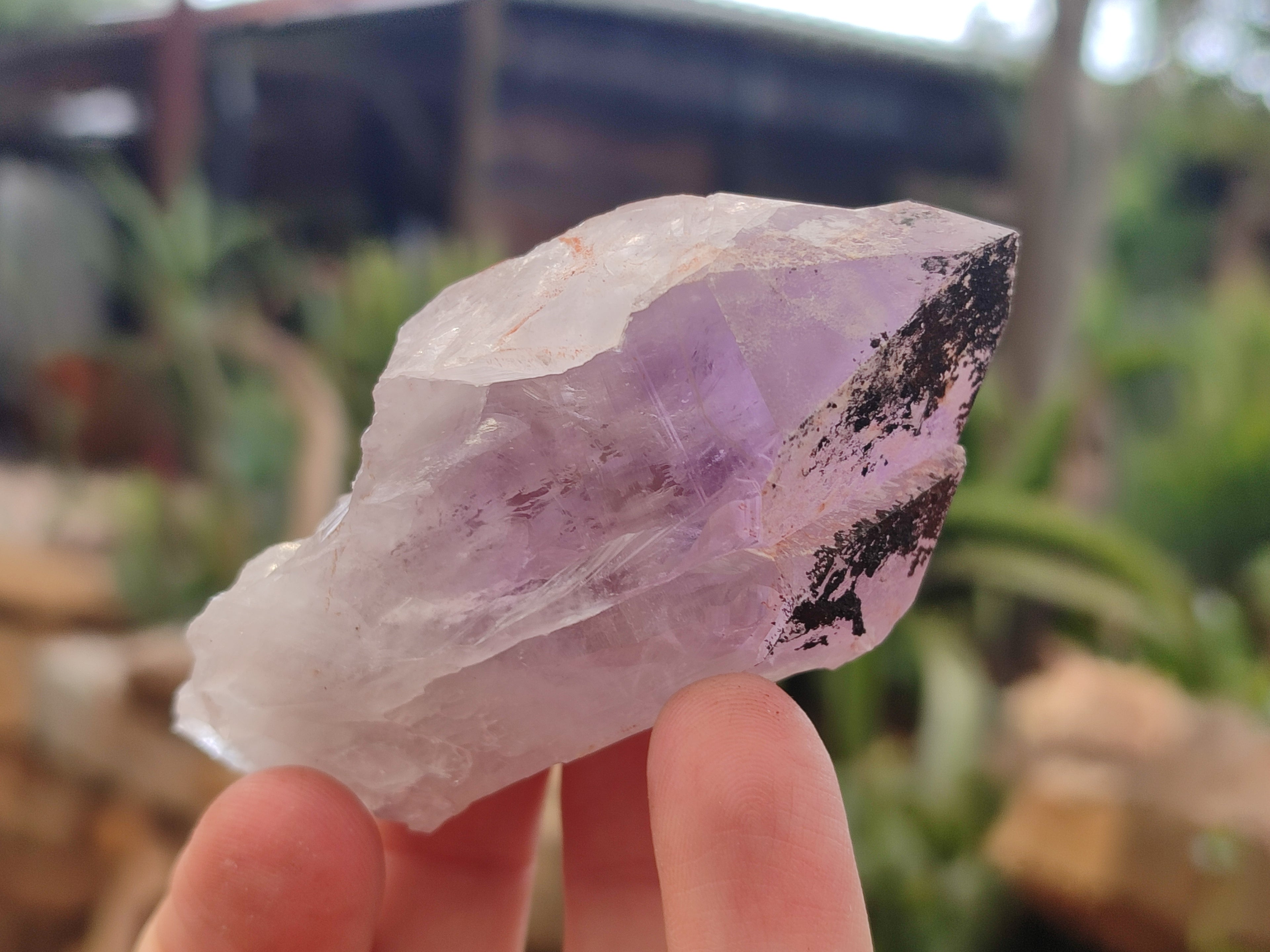 Natural Jacaranda Amethyst Single Quartz Crystals x 24 From Mumbwa, Zambia - Toprock Gemstones and Minerals 