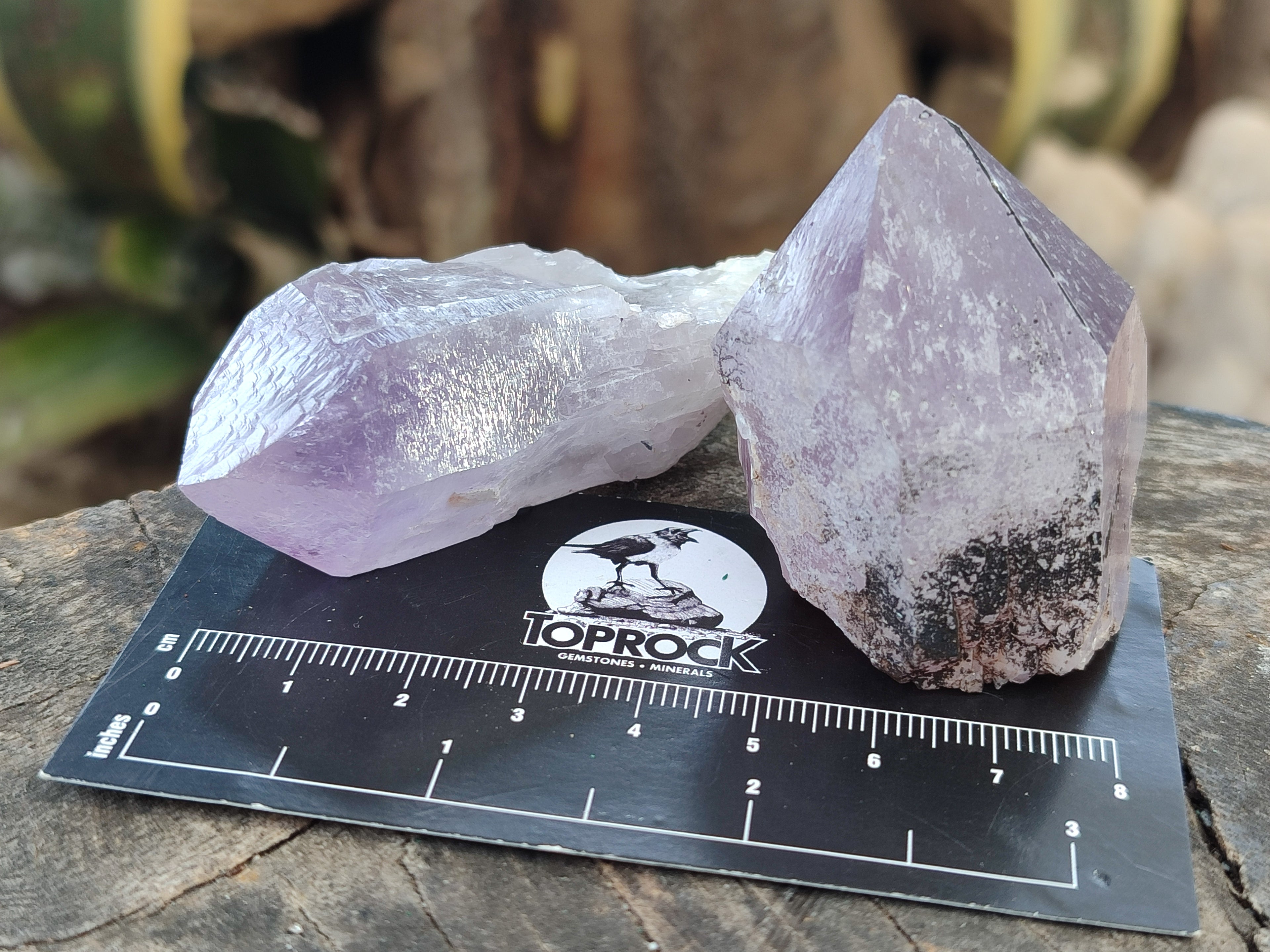 Natural Jacaranda Amethyst Single Quartz Crystals x 24 From Mumbwa, Zambia - Toprock Gemstones and Minerals 