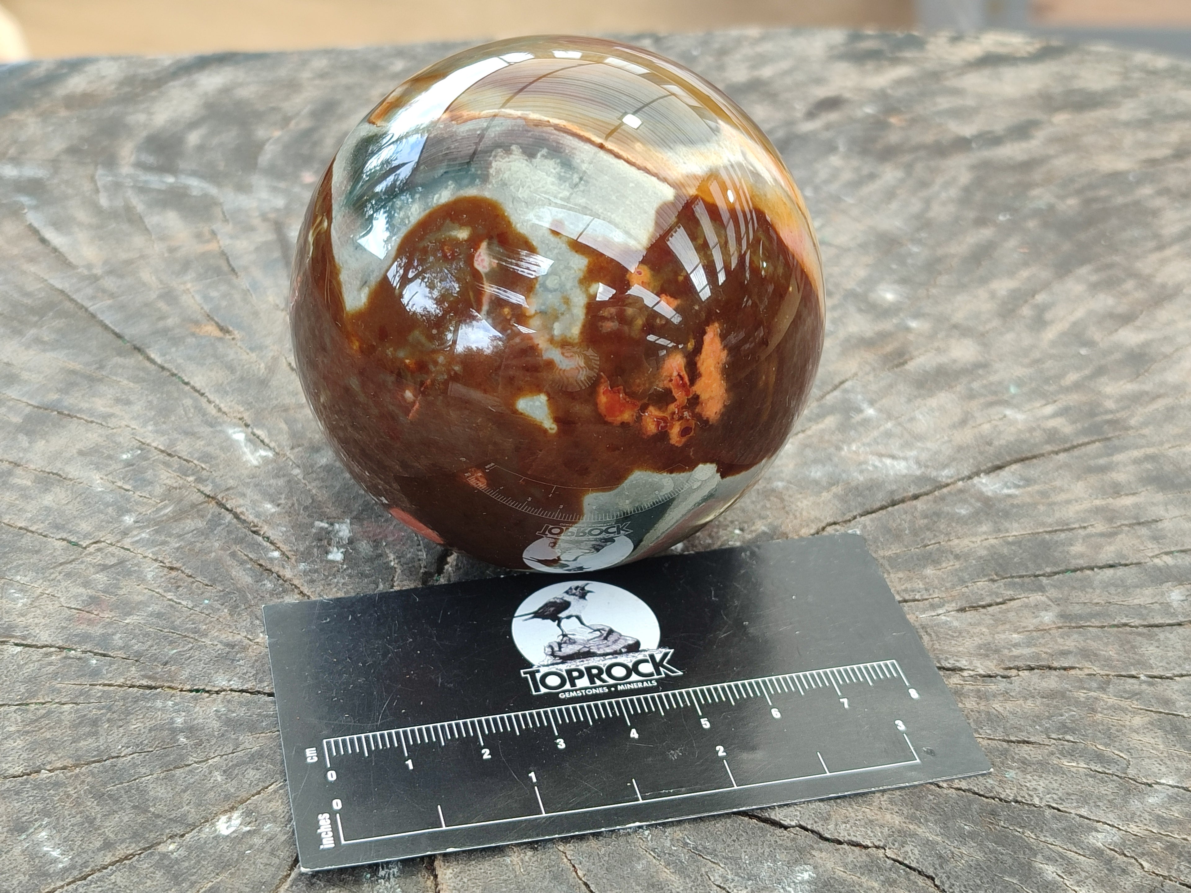 Polished Polychrome Jasper Spheres x 2 From Northwest Coast, Madagascar - Toprock Gemstones and Minerals 
