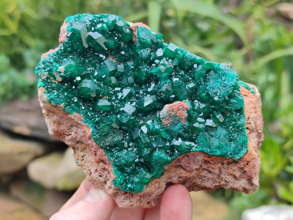 Natural Dioptase Cabinet Specimen x 2 From Likasi, Congo - Toprock Gemstones and Minerals 