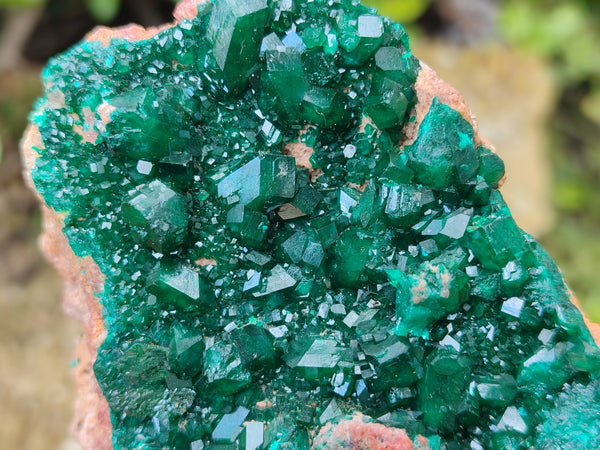 Natural Dioptase Cabinet Specimen x 2 From Likasi, Congo