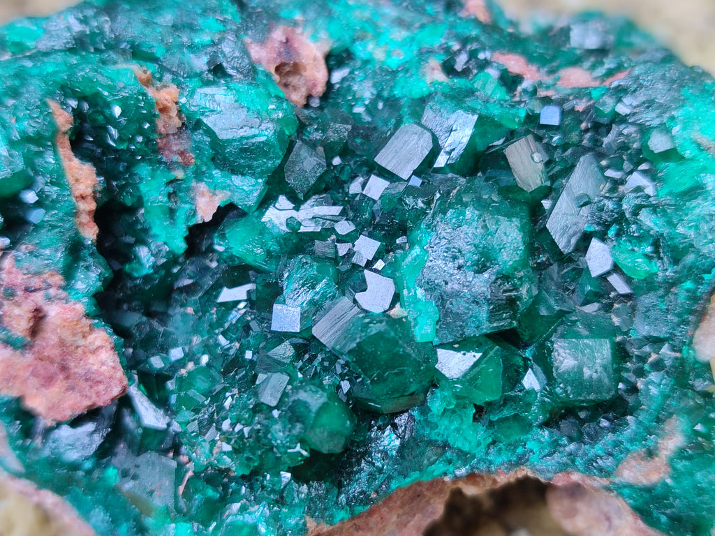Natural Dioptase Cabinet Specimen x 2 From Likasi, Congo - Toprock Gemstones and Minerals 