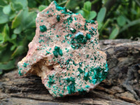 Natural Dioptase Cabinet Specimen x 2 From Likasi, Congo