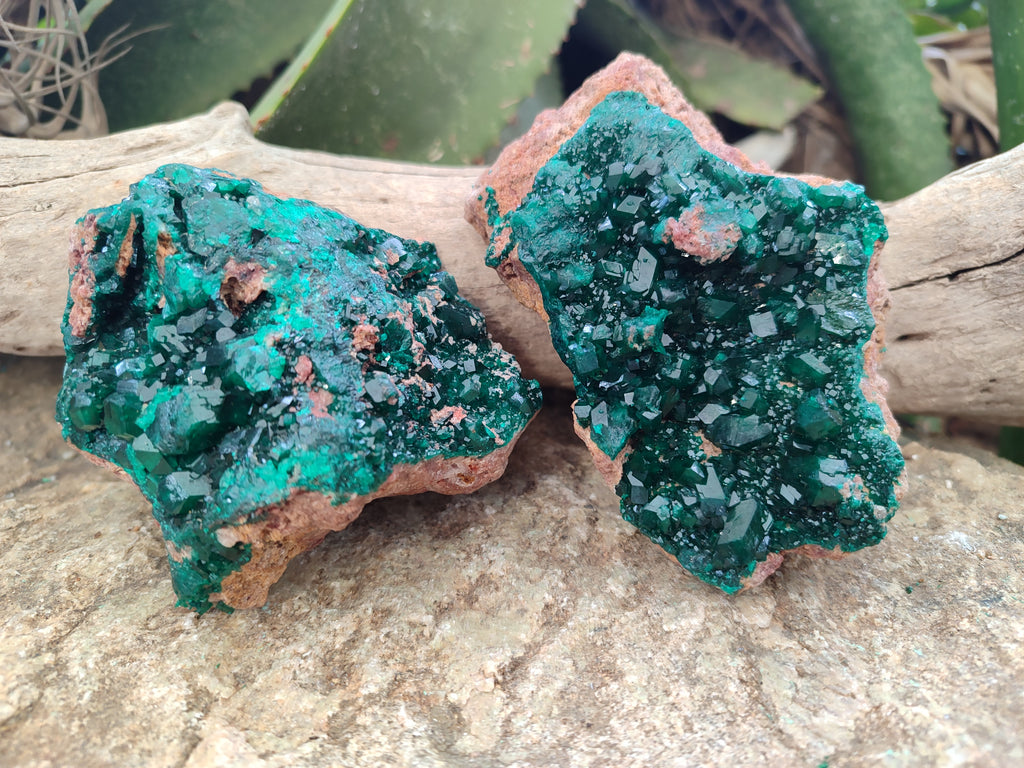 Natural Dioptase Cabinet Specimen x 2 From Likasi, Congo - Toprock Gemstones and Minerals 