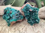 Natural Dioptase Cabinet Specimen x 2 From Likasi, Congo - Toprock Gemstones and Minerals 