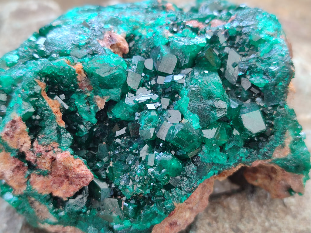 Natural Dioptase Cabinet Specimen x 2 From Likasi, Congo - Toprock Gemstones and Minerals 
