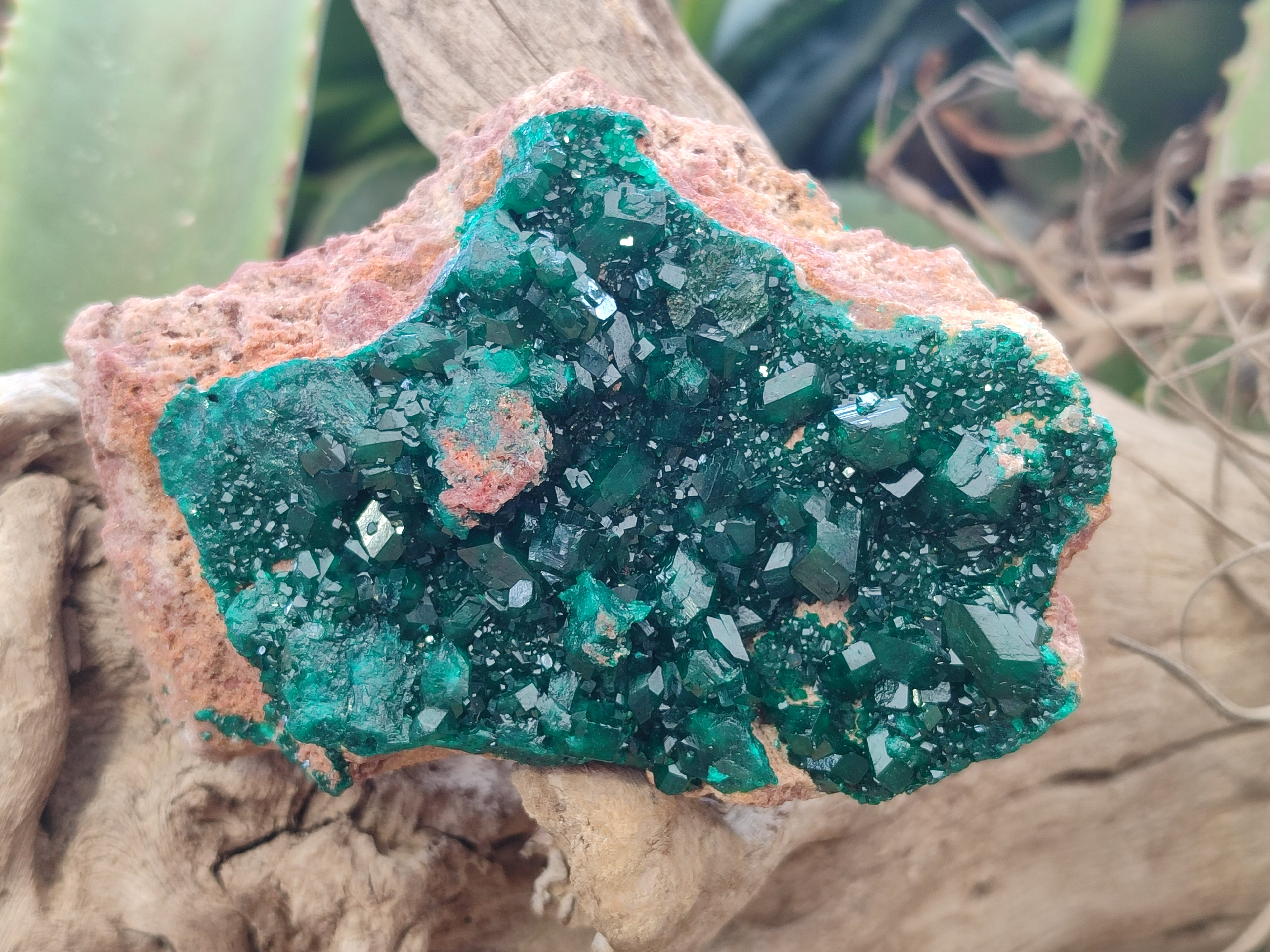 Natural Dioptase Cabinet Specimen x 2 From Likasi, Congo - Toprock Gemstones and Minerals 