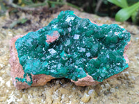 Natural Dioptase Cabinet Specimen x 2 From Likasi, Congo